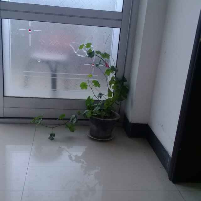 春明景和