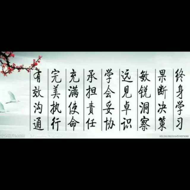 乖猫猫