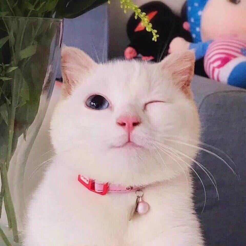 大美婷?