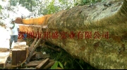 占士邦盛