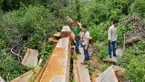 柬埔寨京中日木业于先生