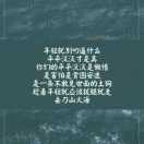 辉608856