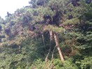 wzdongjin223931