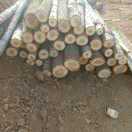 liwei6583729