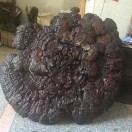 请叫我马哥
