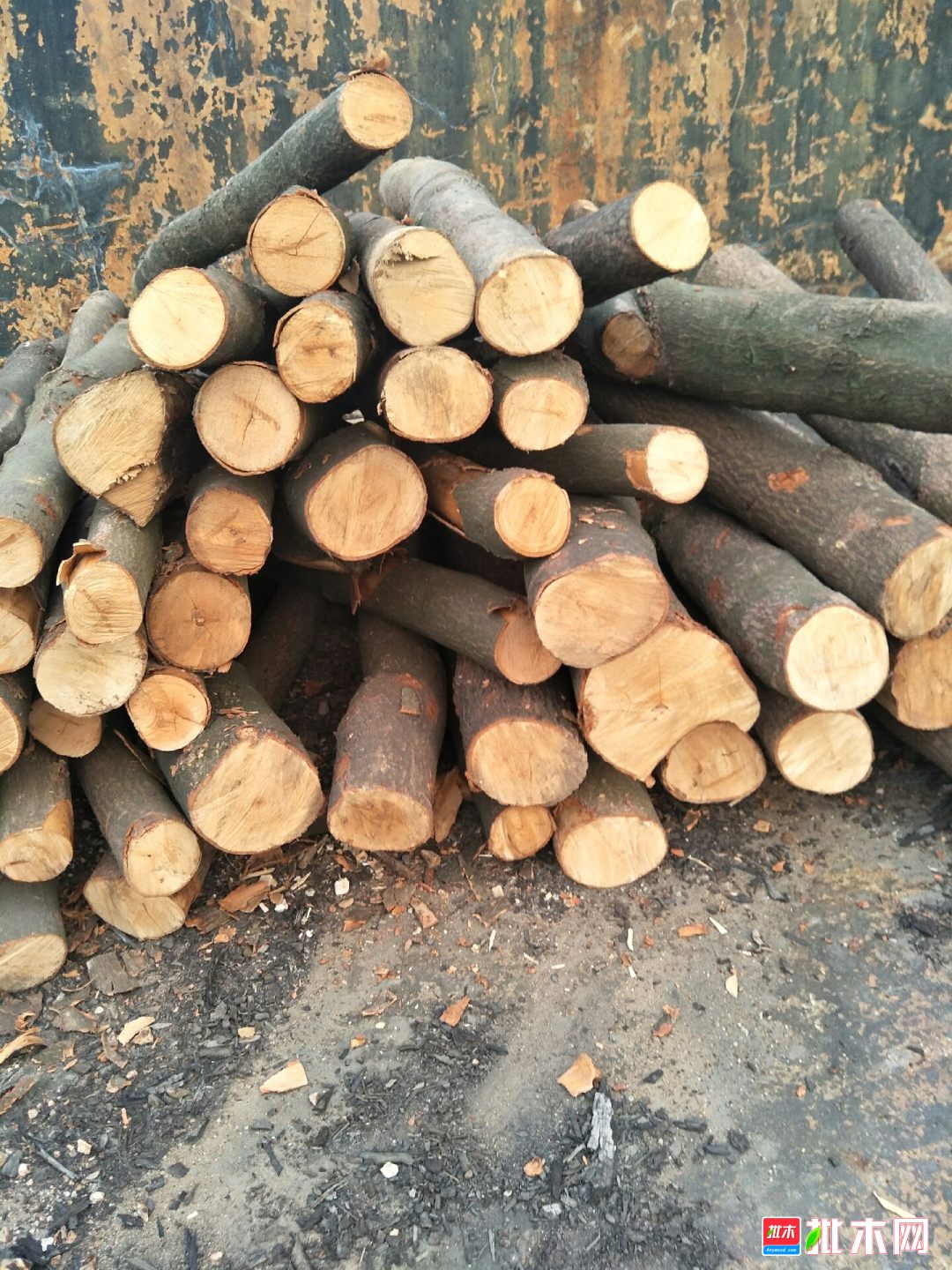 荷木原木和板材料