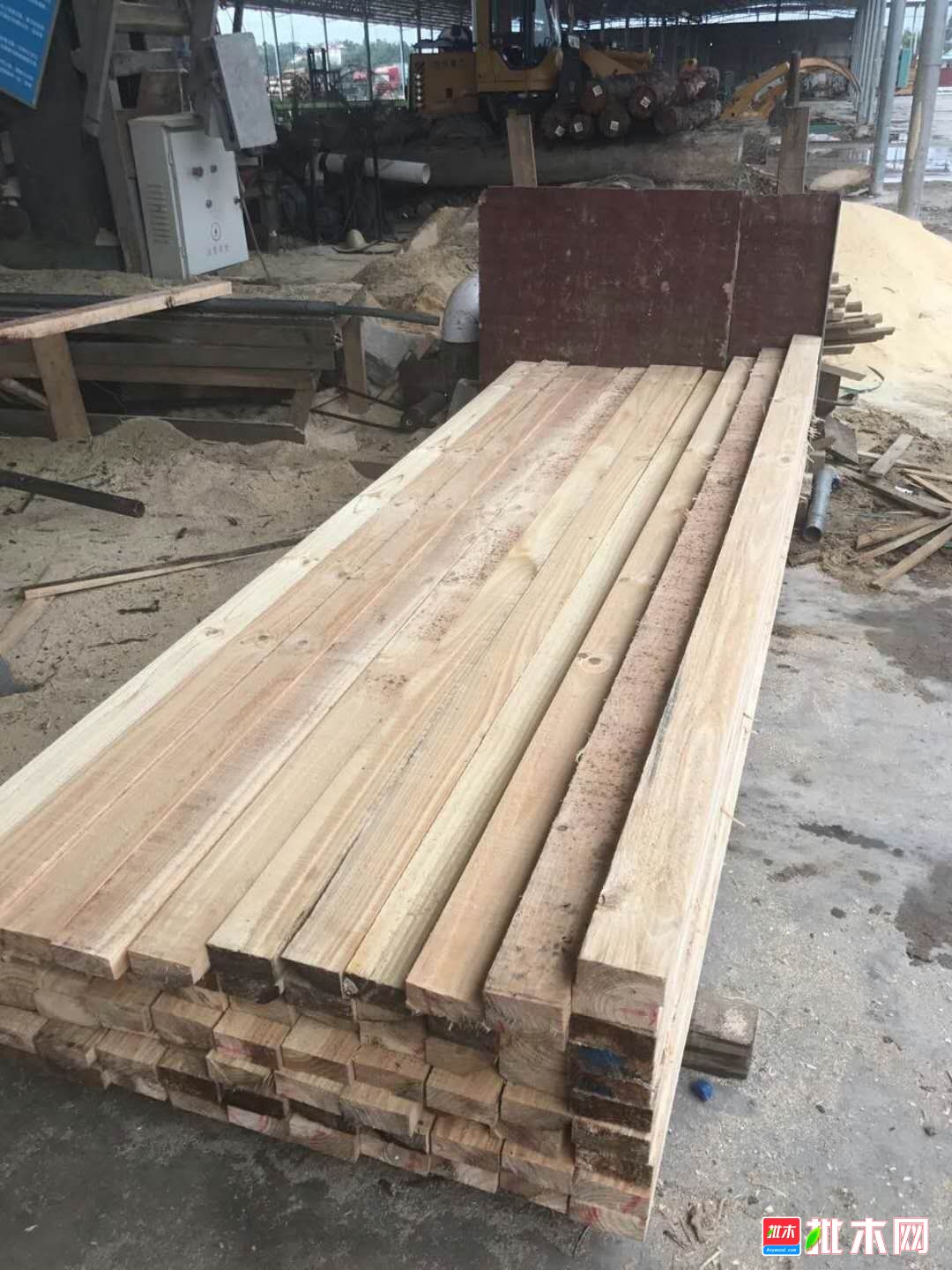 广西钦州港木材加工厂