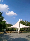 tfyj2006