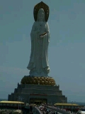 啊权哥