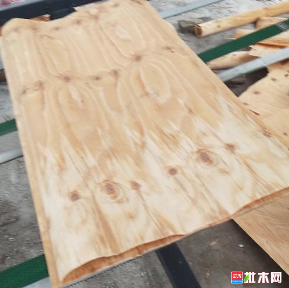 出售各规格马尾松旋切单板