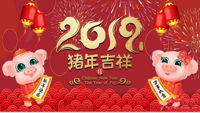 金龙一2019