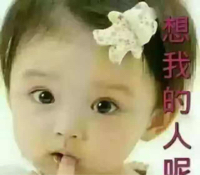 宏枫叶