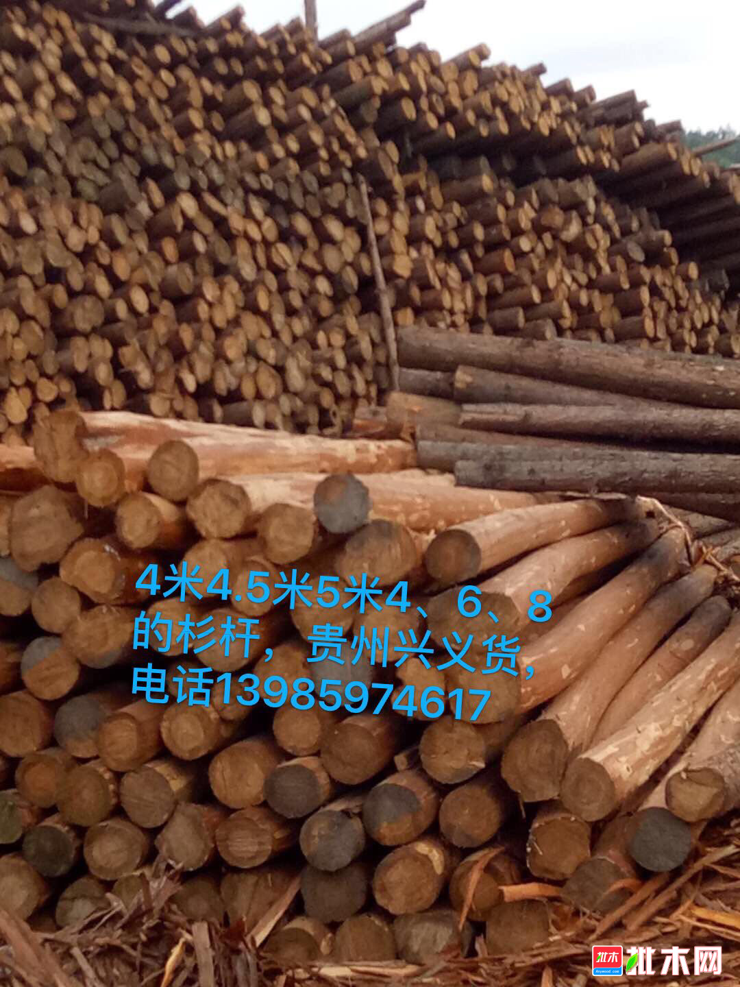 出售4米,4.5米,5米6-7公分的杉杆