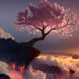 清晨的粥