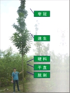 15779708107