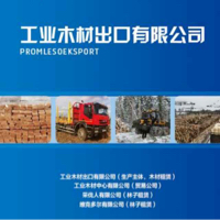 叶尼赛河边的木材人
