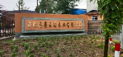涡阳县寻木源木业刘先生