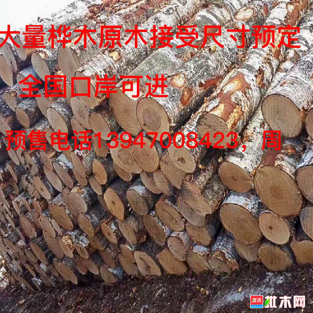 大量俄罗斯桦木原木或板材出售