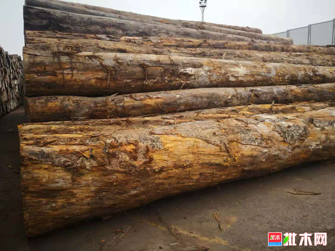 新鲜黄硬木 批木网