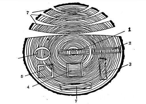 木材发生变形的类型批木网