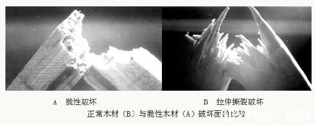 木材的力學性能| 剛度,脆性,韌性和塑性【批木網】