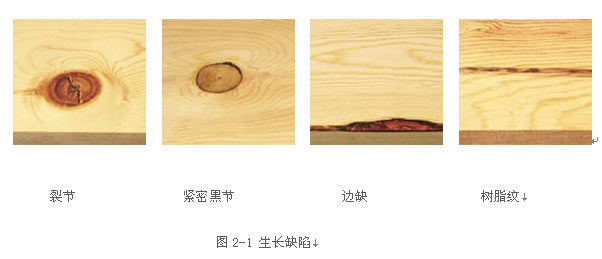 木材的横纹与顺纹图示图片