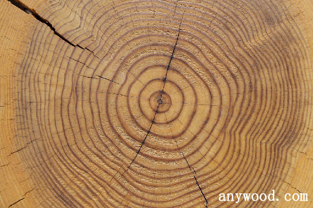 大自然的馈赠——木材的纹理【批木网】 