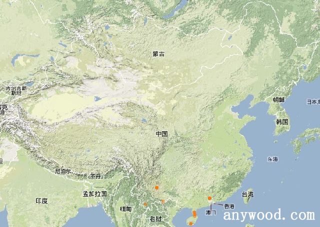 有說產在南美洲,有說在亞洲熱帶島嶼,但大多數認為起源於馬來群島