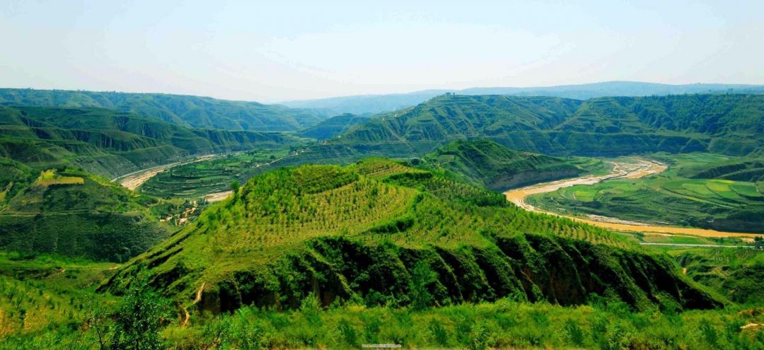 中国林业竞争力和发展潜力研究报告即将发行【批木网】
