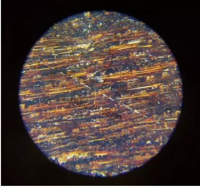 100倍显微镜下的金丝楠木,你见过吗?【批木网】