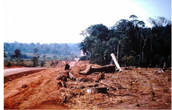 巴西朗多尼亚州多个自然保留区受到土地开采和伐木者的威胁【批木网】
