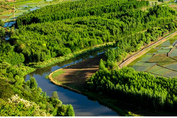 全国生态林业呈高速稳定增长态势6年增长64%【木材圈】