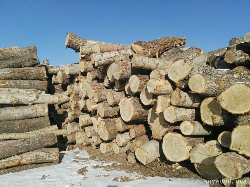 东北木材种类图片