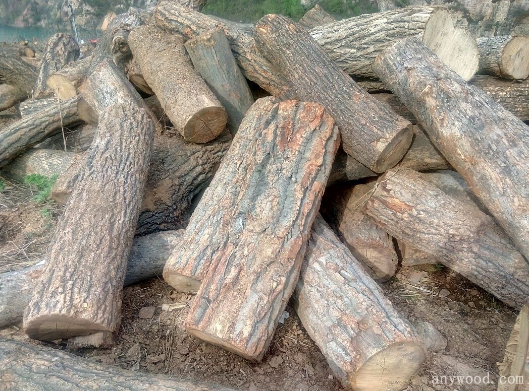 广西硬木种类图片