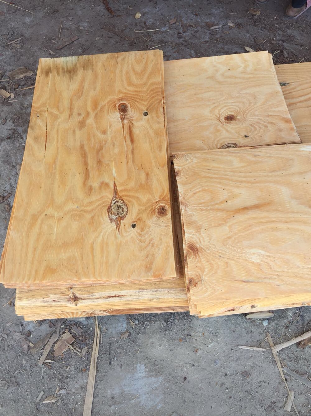 马尾松单板面板木皮 