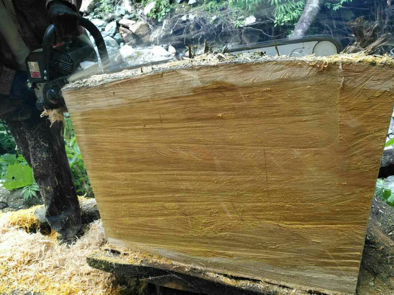 香榧木硬度图片