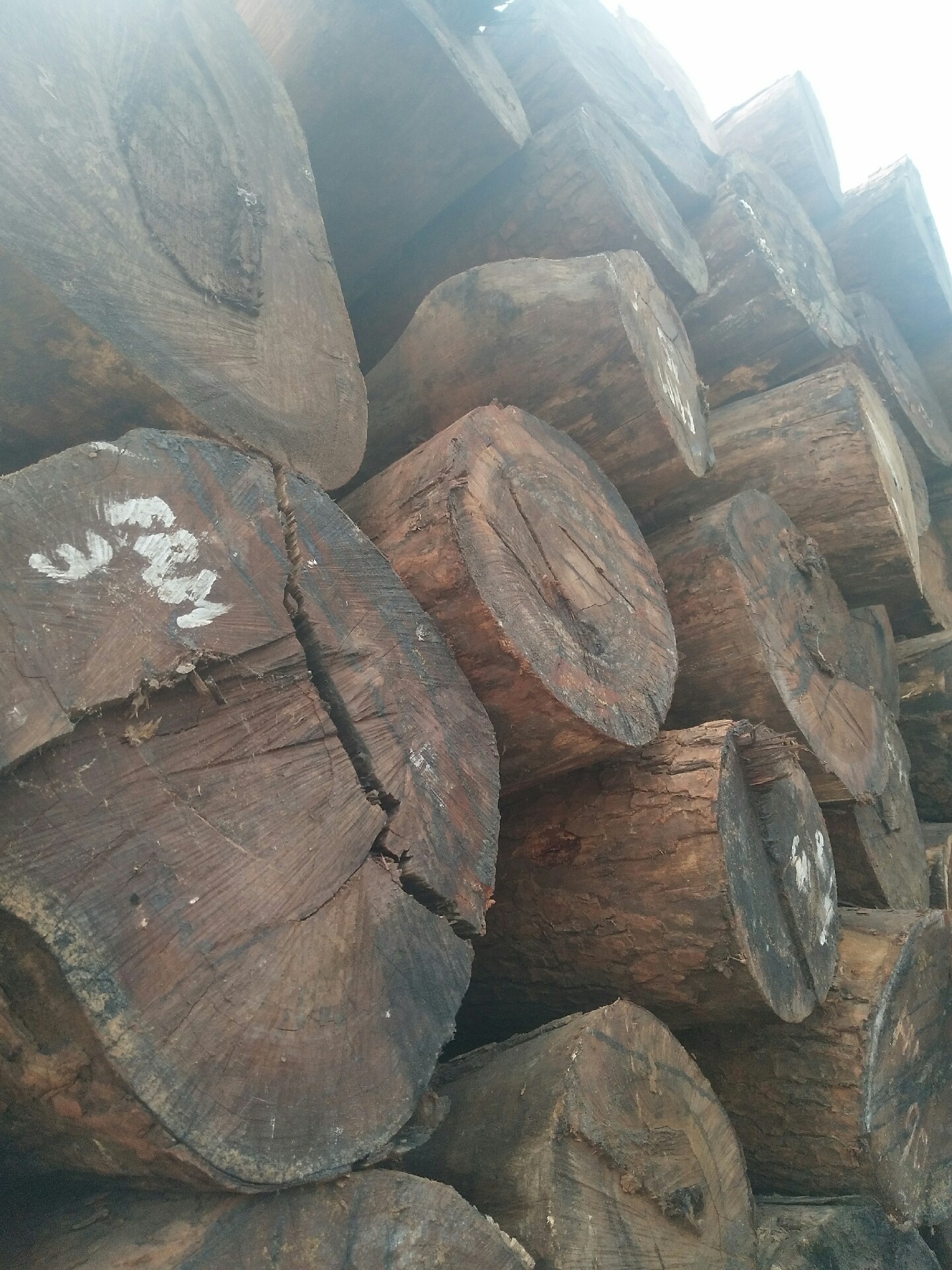 红高棉原木及板材