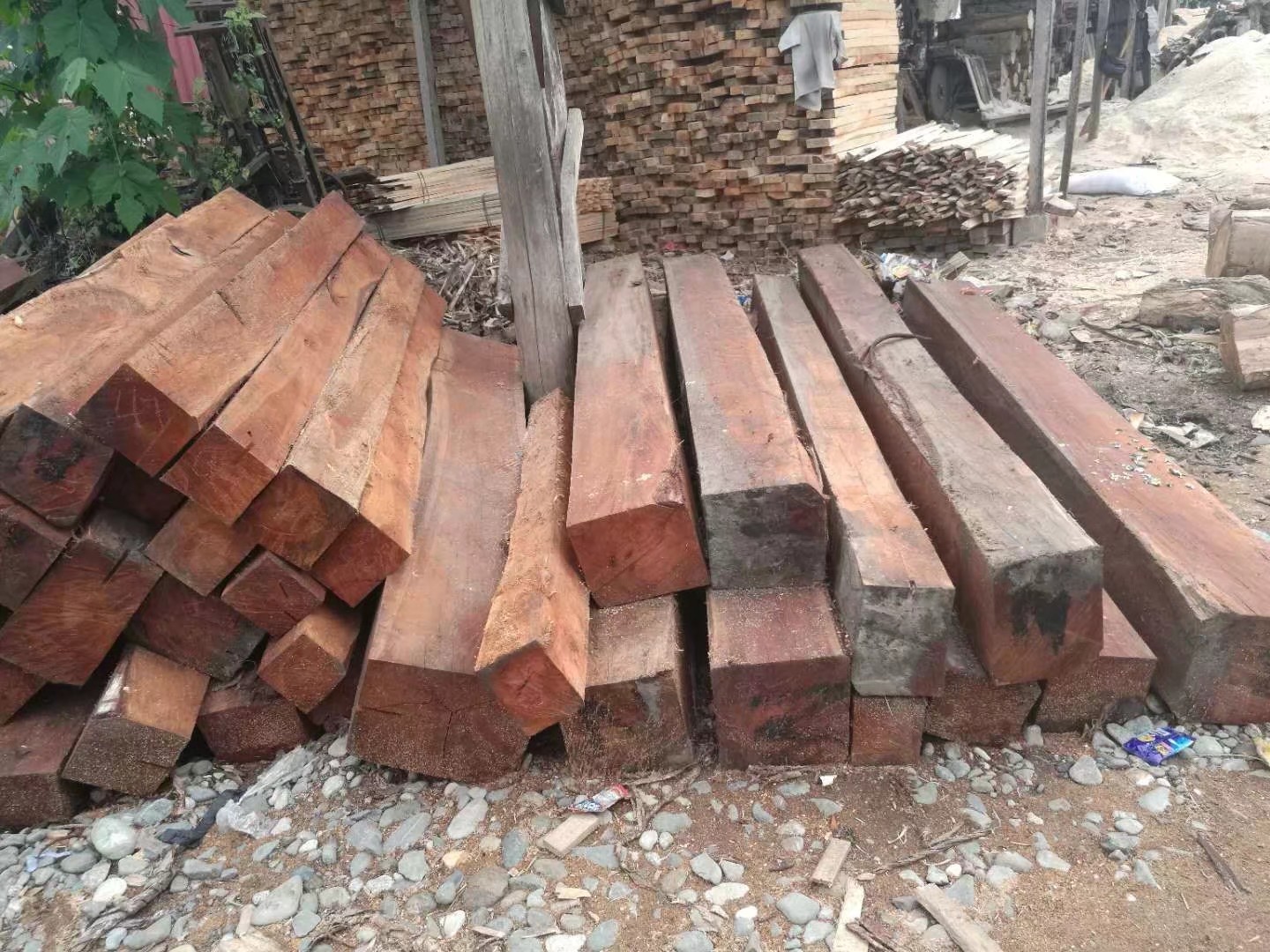 菲律宾木材图片