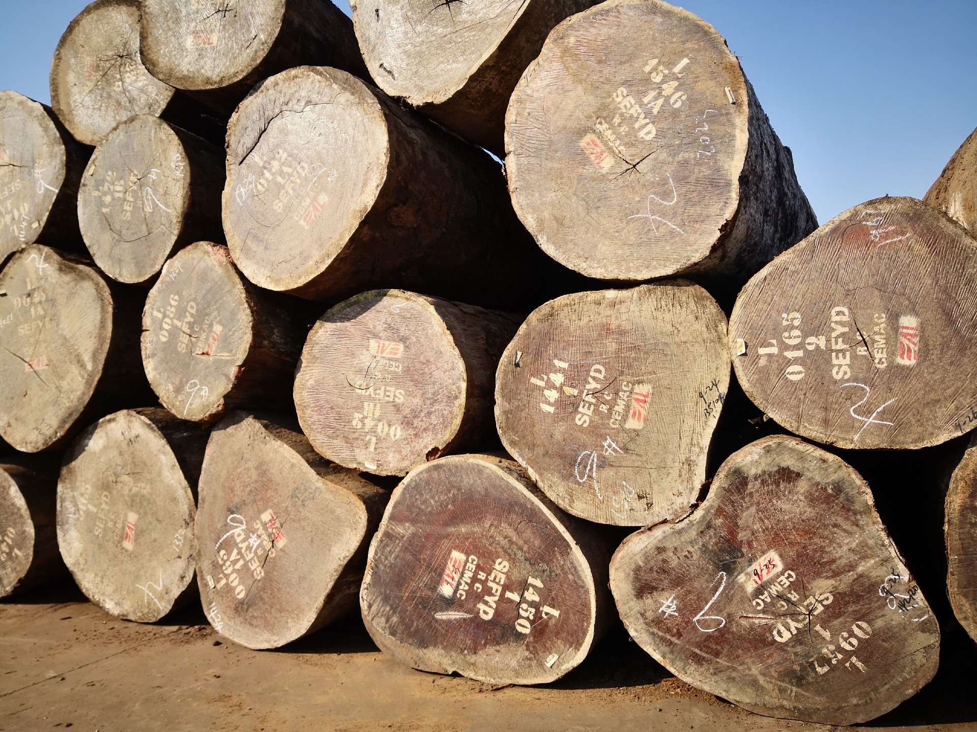 喀麦隆木材品种图片