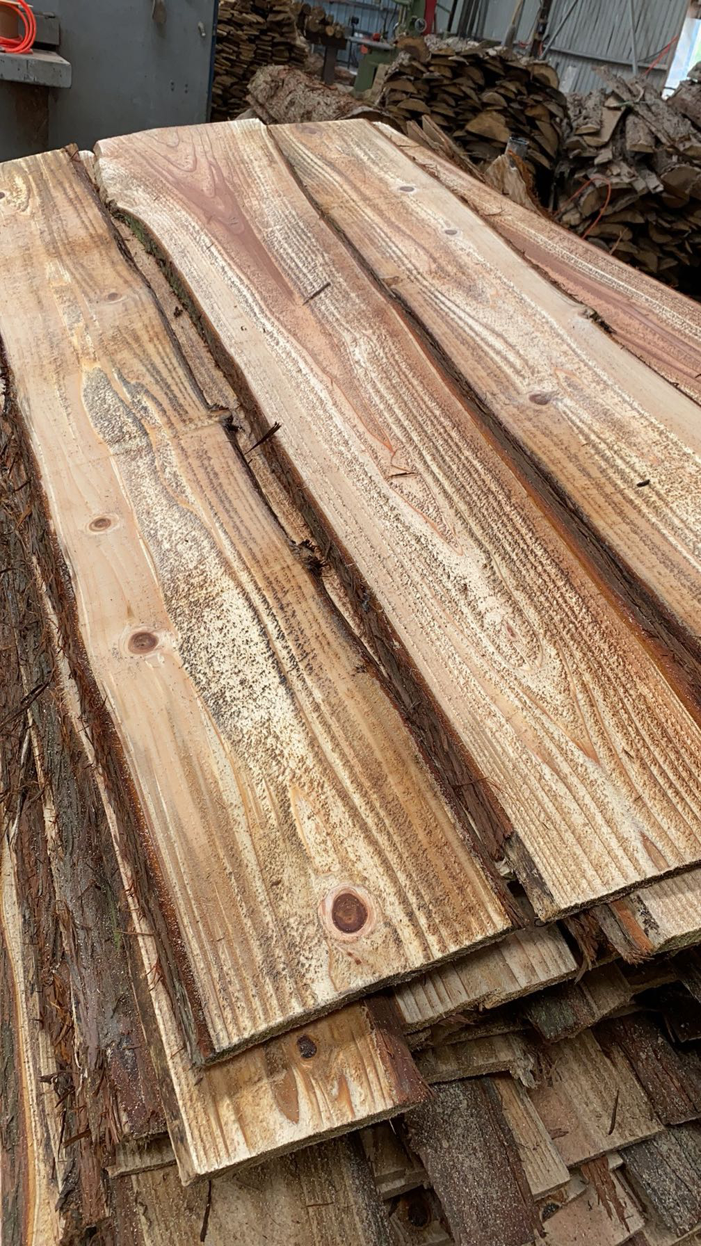 柳杉自然板 